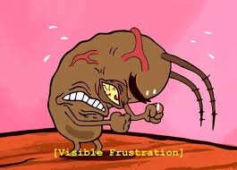 🐾🚔 Prazkat Reviews 🇲🇽 tweet media