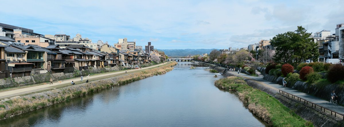 馬走日 tweet media