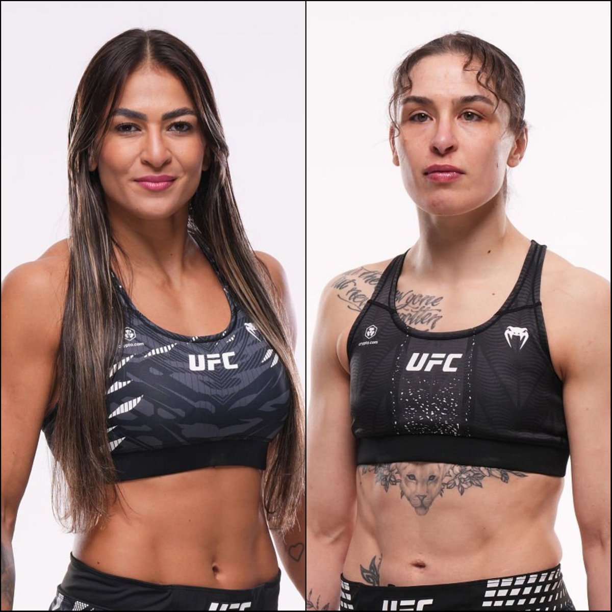 Marcel Dorff 🇳🇱🇮🇩 tweet media