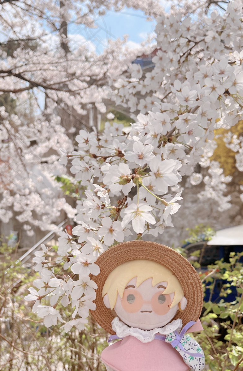 ekorre(ekk)/原稿中 tweet media