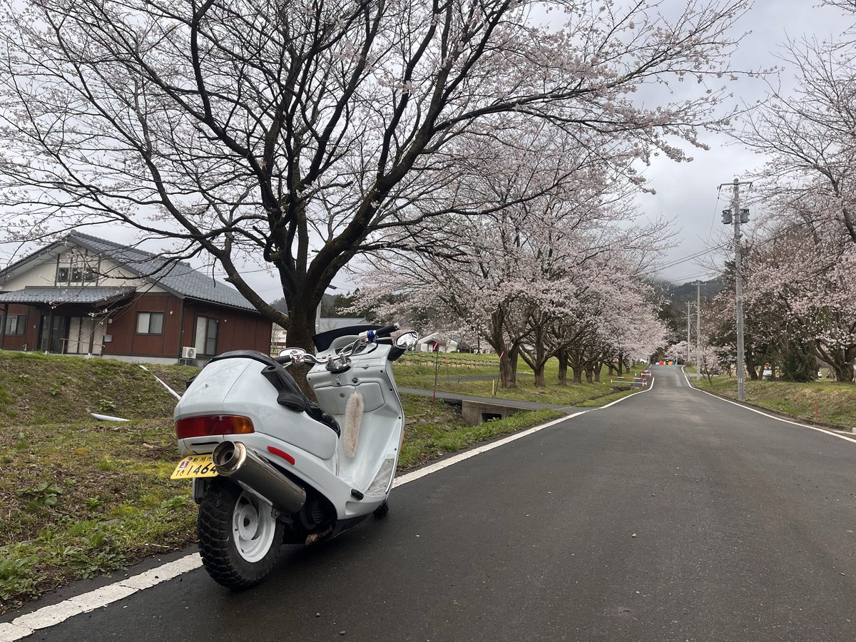pachijome1204's tweet photo. 放置車を卒業したね

（擦ってチリガバ） https://t.co/adTkAm8IZX