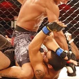 UpdateCharts tweet media