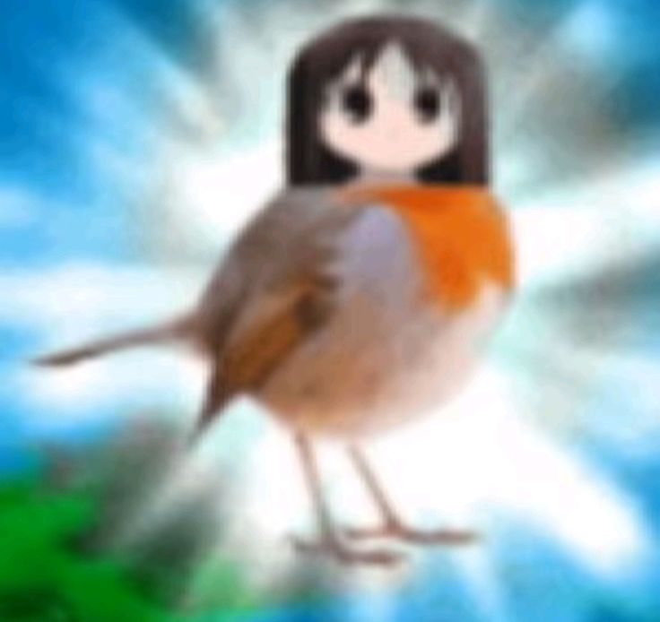 𝑧𝑚𝑏𝑖𝑒 tweet media