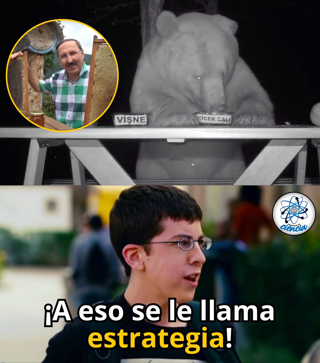 Enséñame de Ciencia tweet media