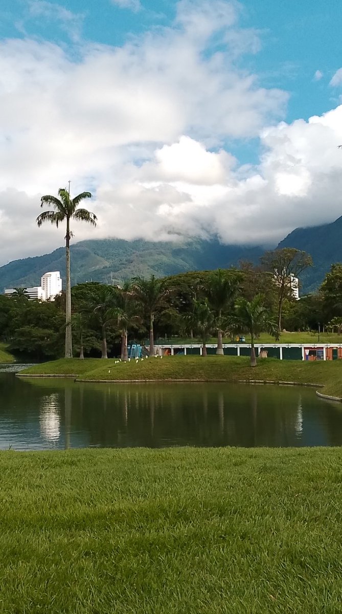 Luis Sequera tweet media