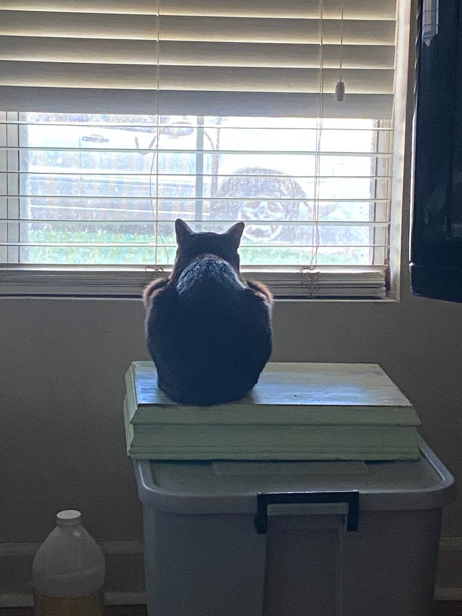 Troy Martin tweet media