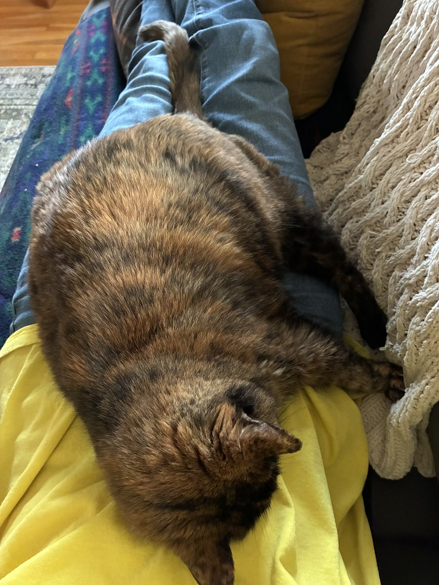 Señora Lucinda 🌼 Wendell & Lionel tweet media