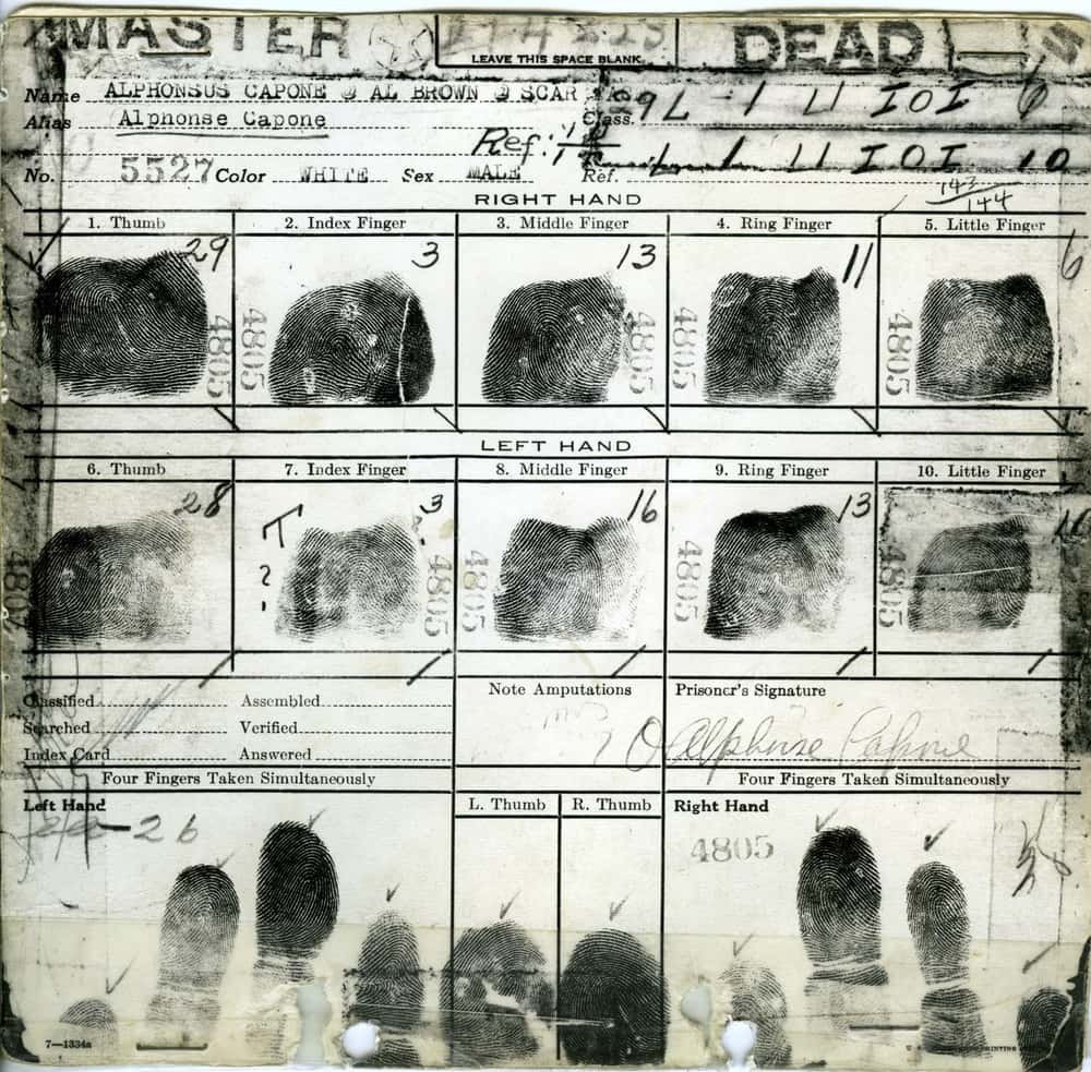 𓂀 𝕋𝔼𝔸ℍ 𓂀 tweet media