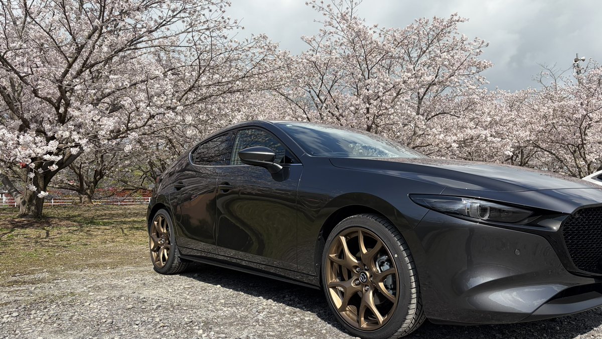 みりん🐈／まりん🐇＠マサムネ鯖 tweet media