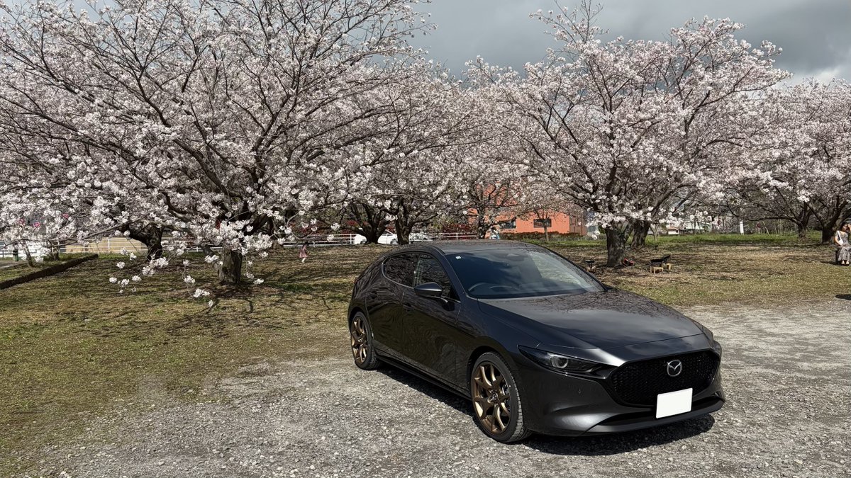 みりん🐈／まりん🐇＠マサムネ鯖 tweet media