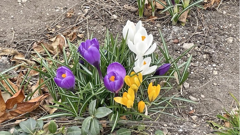 北海道大学教職員組合 事務部班 tweet media