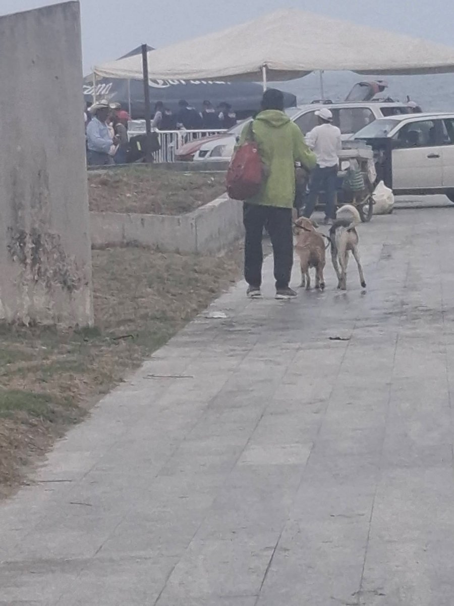 Rodrigo Barranco tweet media