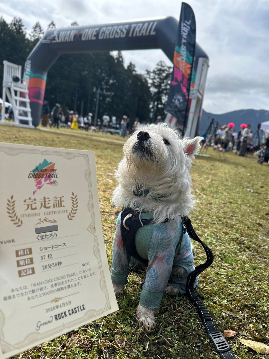 日々、くまたろう🐻‍❄️ tweet media