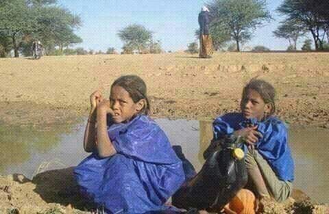 In-Zawnaker 🏜️ tweet media