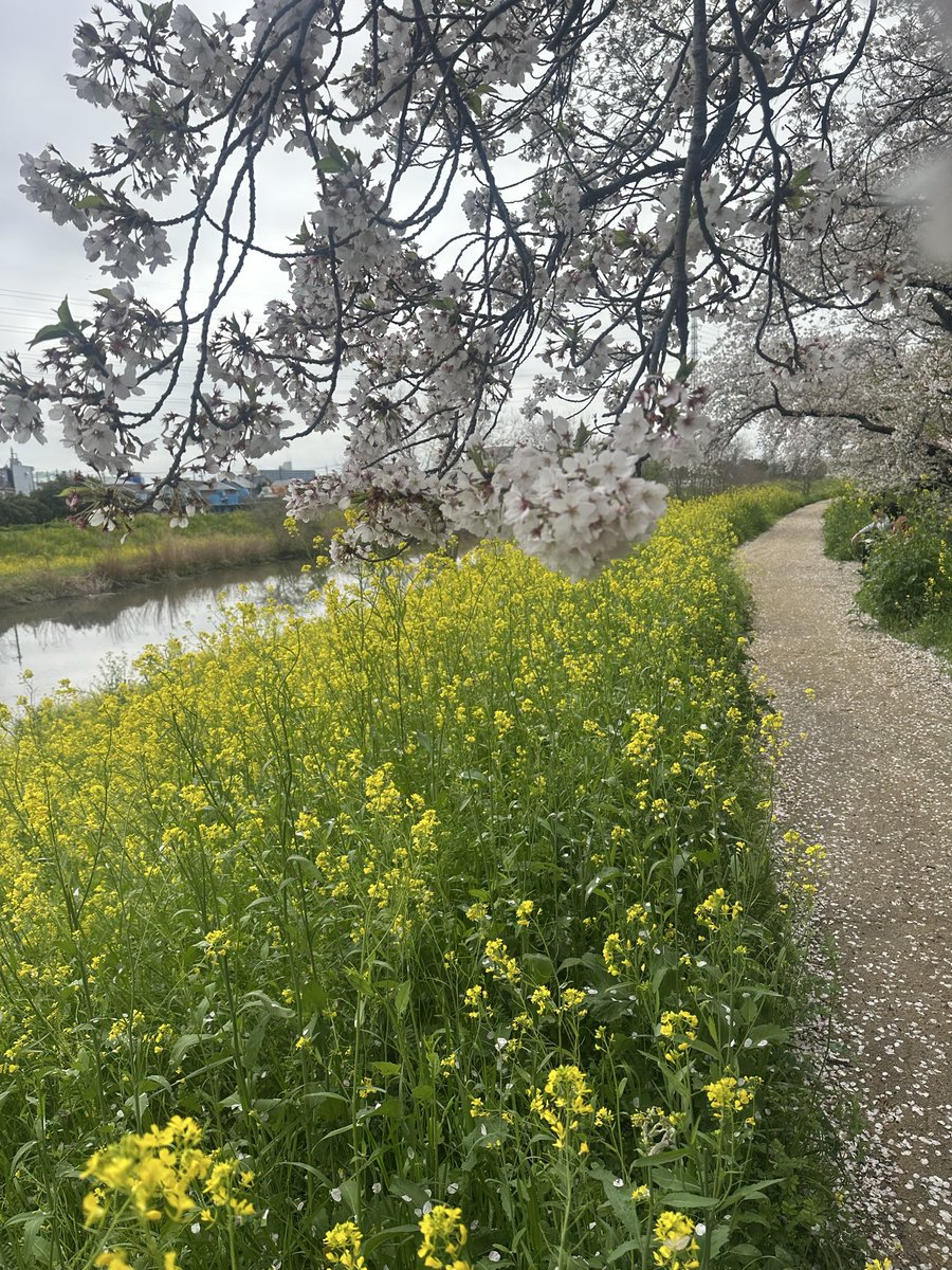 Shimazaki@クリエイティブ制作 tweet media