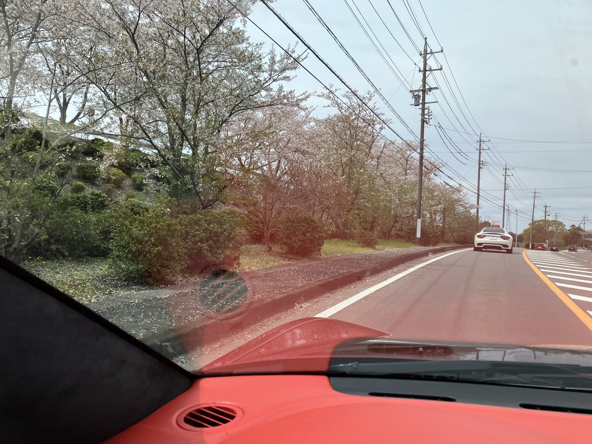 ベロが小学生 tweet media