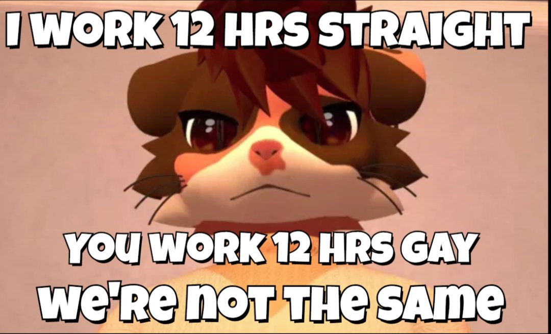 🧡 Coffee Kitty ☕ tweet media