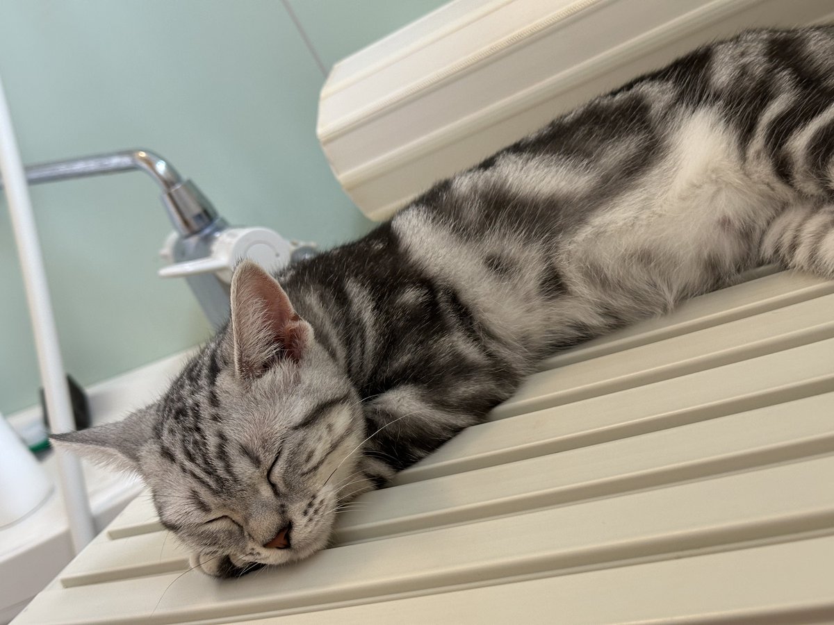 田畑由秋 Tabata Yoshiaki 타바타 요시아키 tweet media