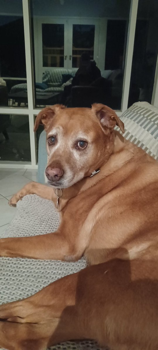 ShanoAtThePort69 tweet media