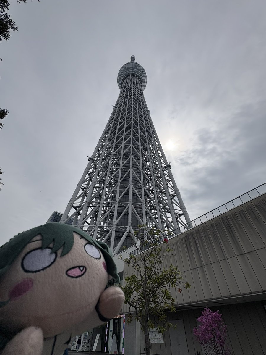 ✨🏹 lilly best 7 🎸✨ tweet media