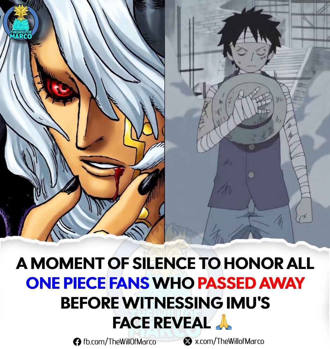 The Will of Marco (マルコの意志) tweet media