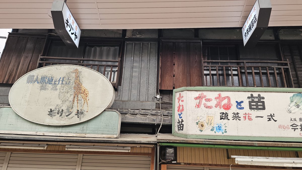 けんたろう🇺🇦 tweet media