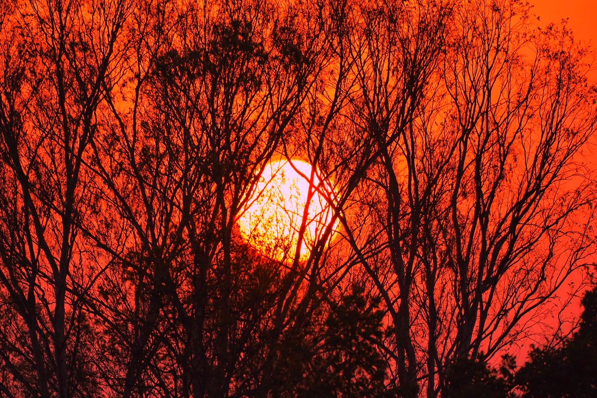 Aaron Ferguson tweet media