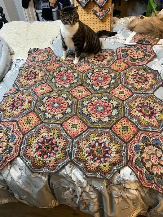 Sara Mary ⭐❤️ tweet media