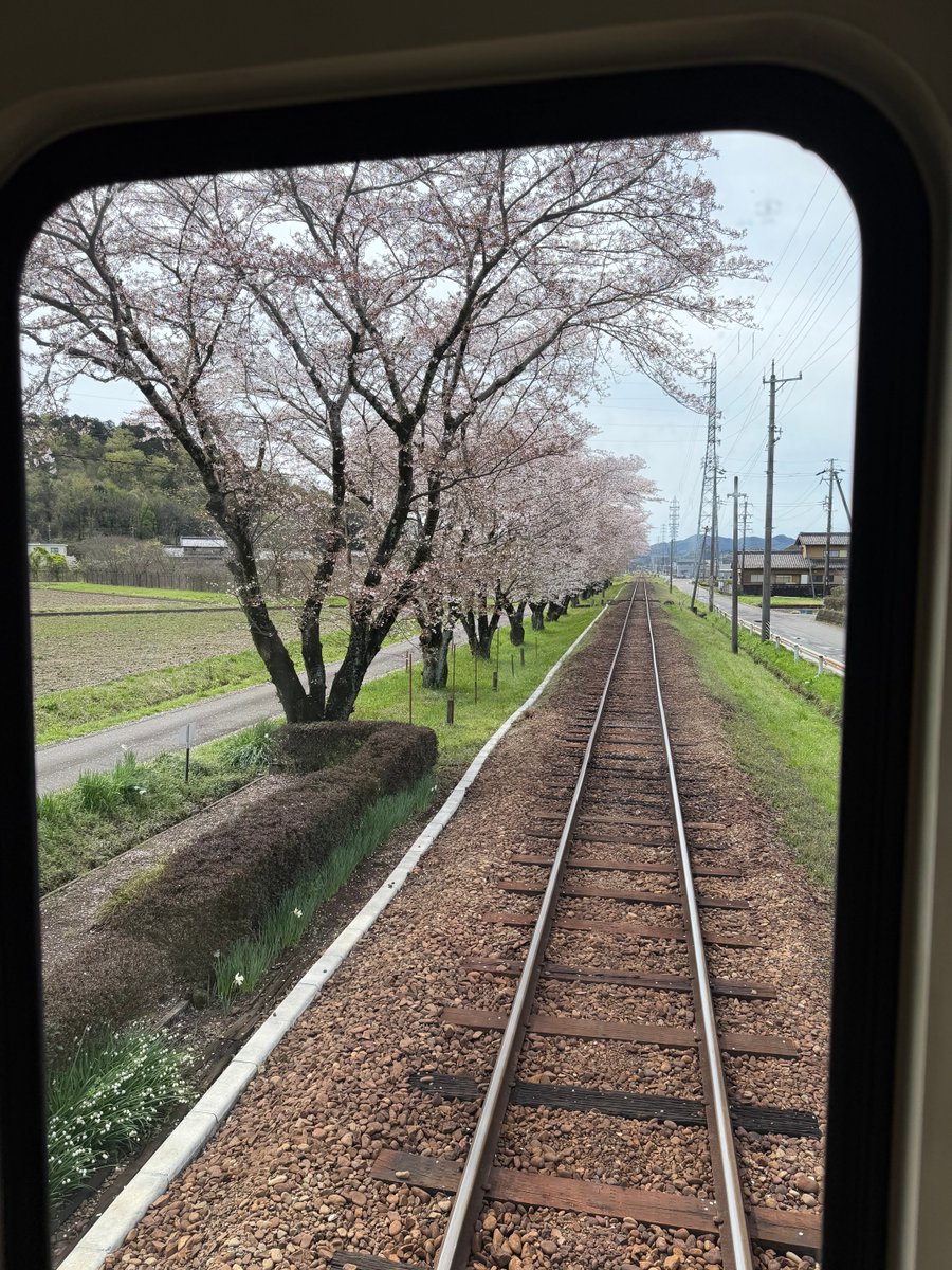 Erwin Vollmann🎗 tweet media