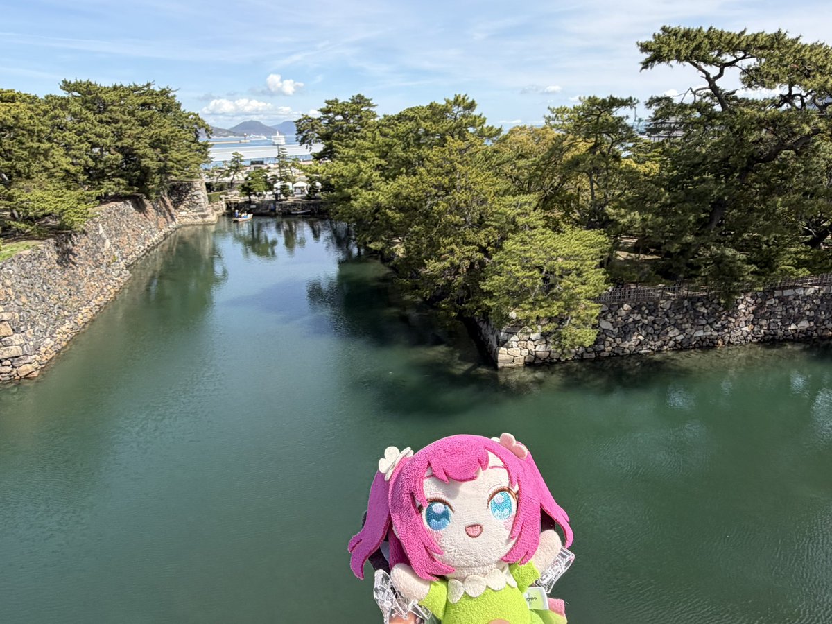 桜でんぶ tweet media