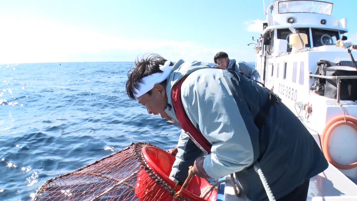 鉄腕DASH 【公式】日曜よる7時 tweet media