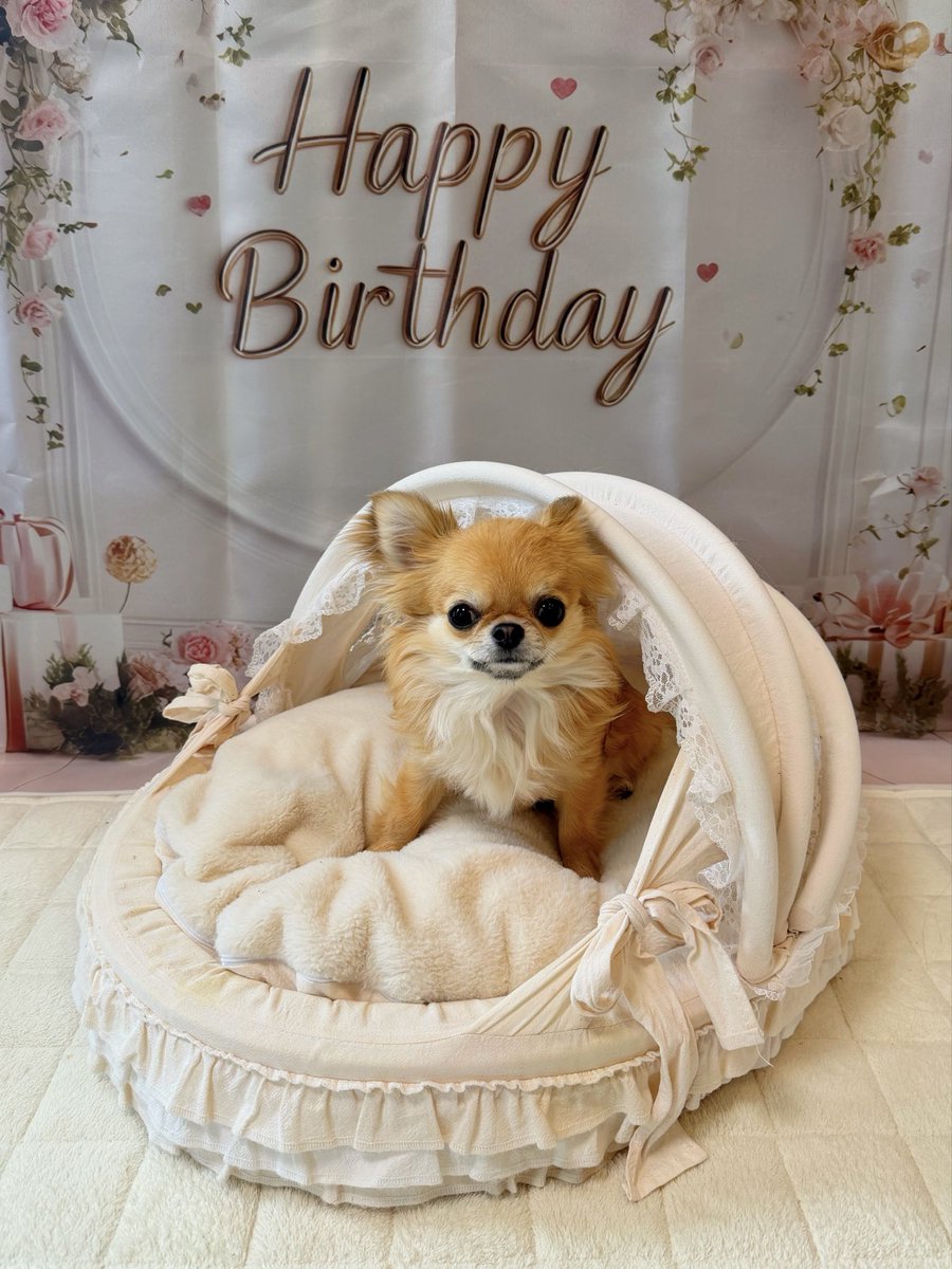 らいもん tweet media