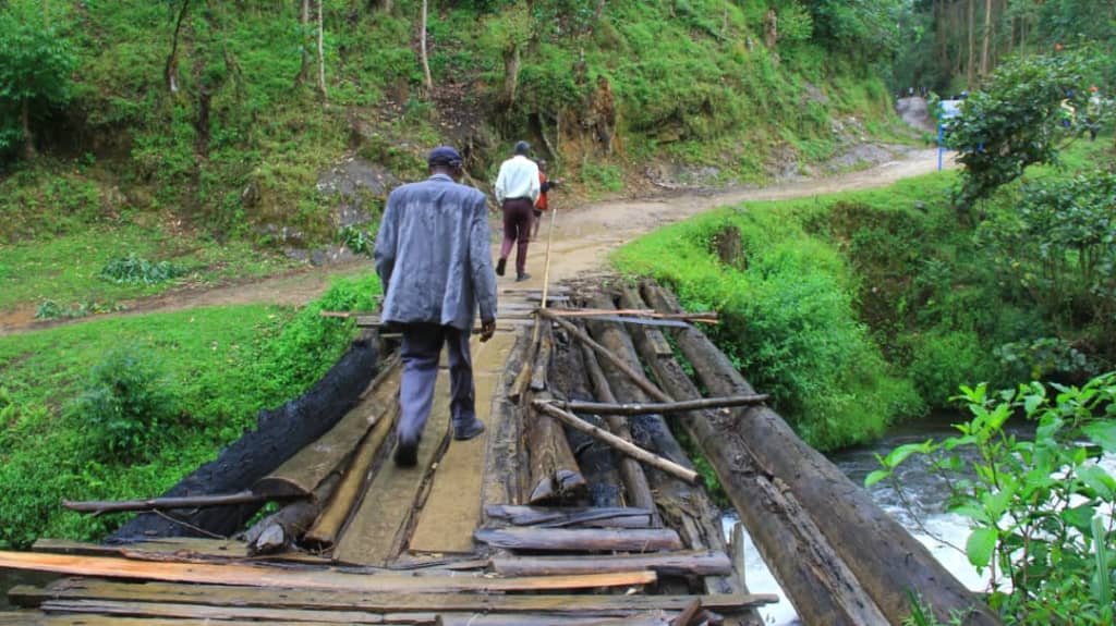 The Lens Reports tweet media