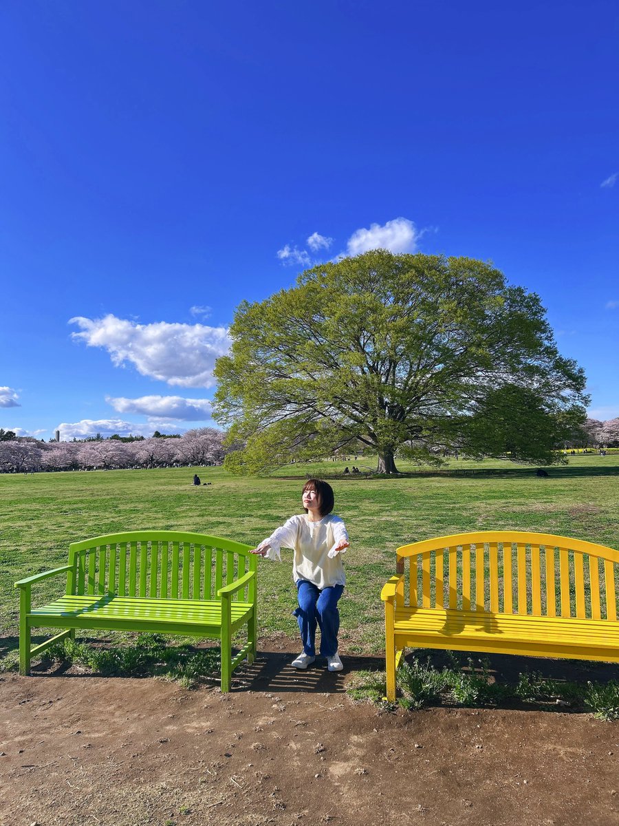 馬白マシロ🐎🤍わがなま tweet media