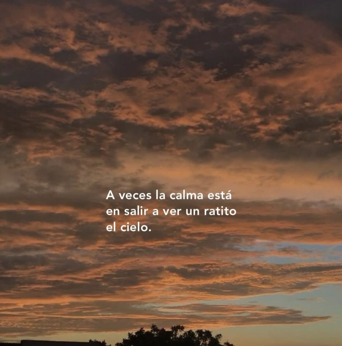 Rincón Curioso tweet media