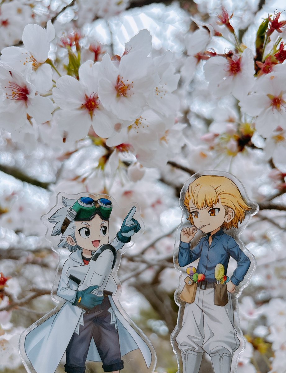 はるまき tweet media