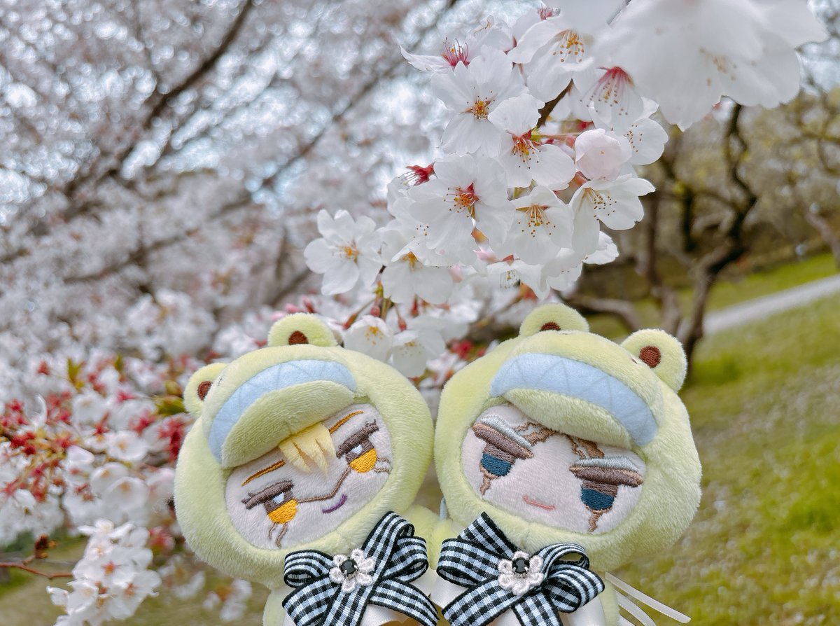 はるまき tweet media