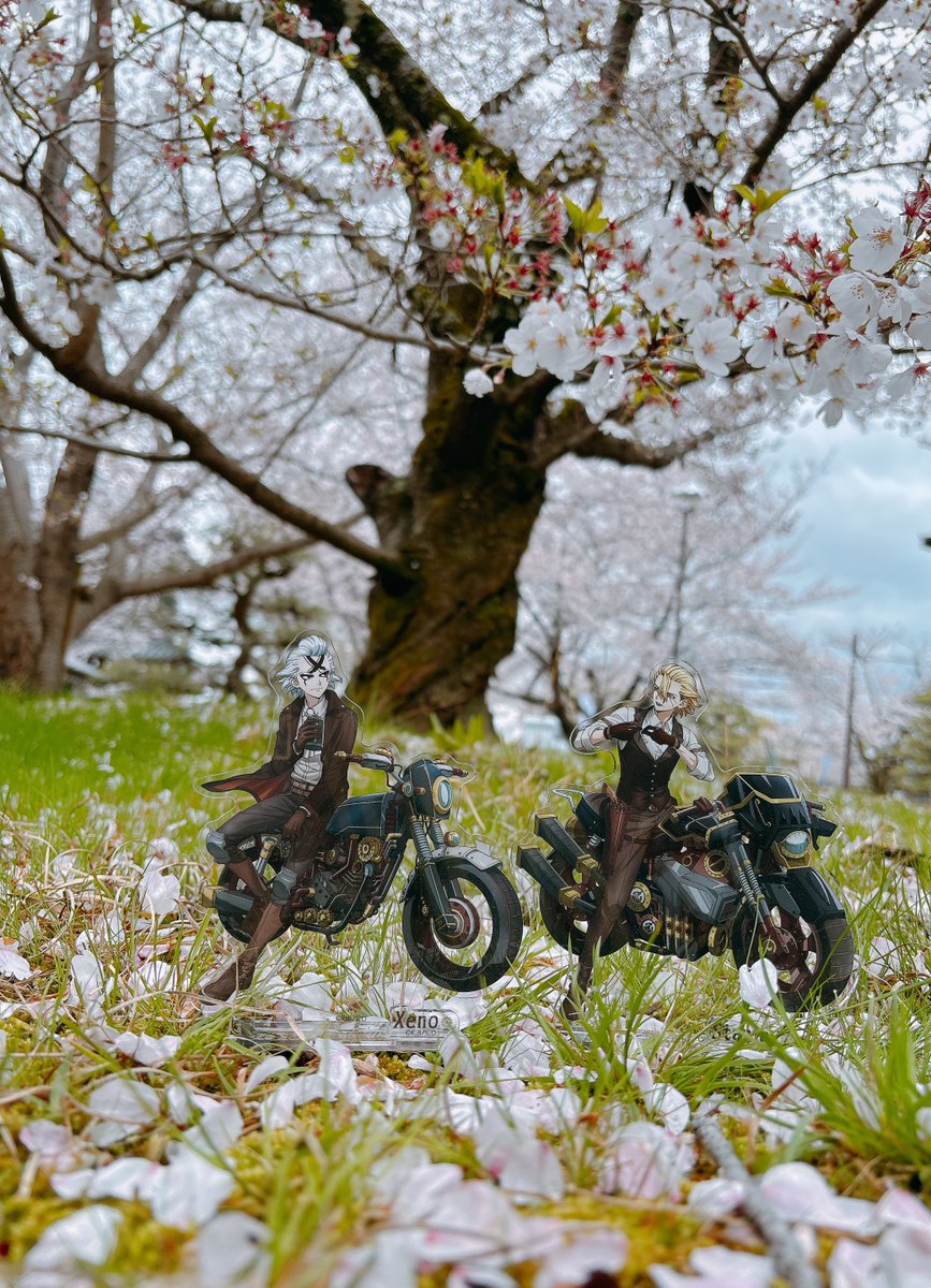 はるまき tweet media