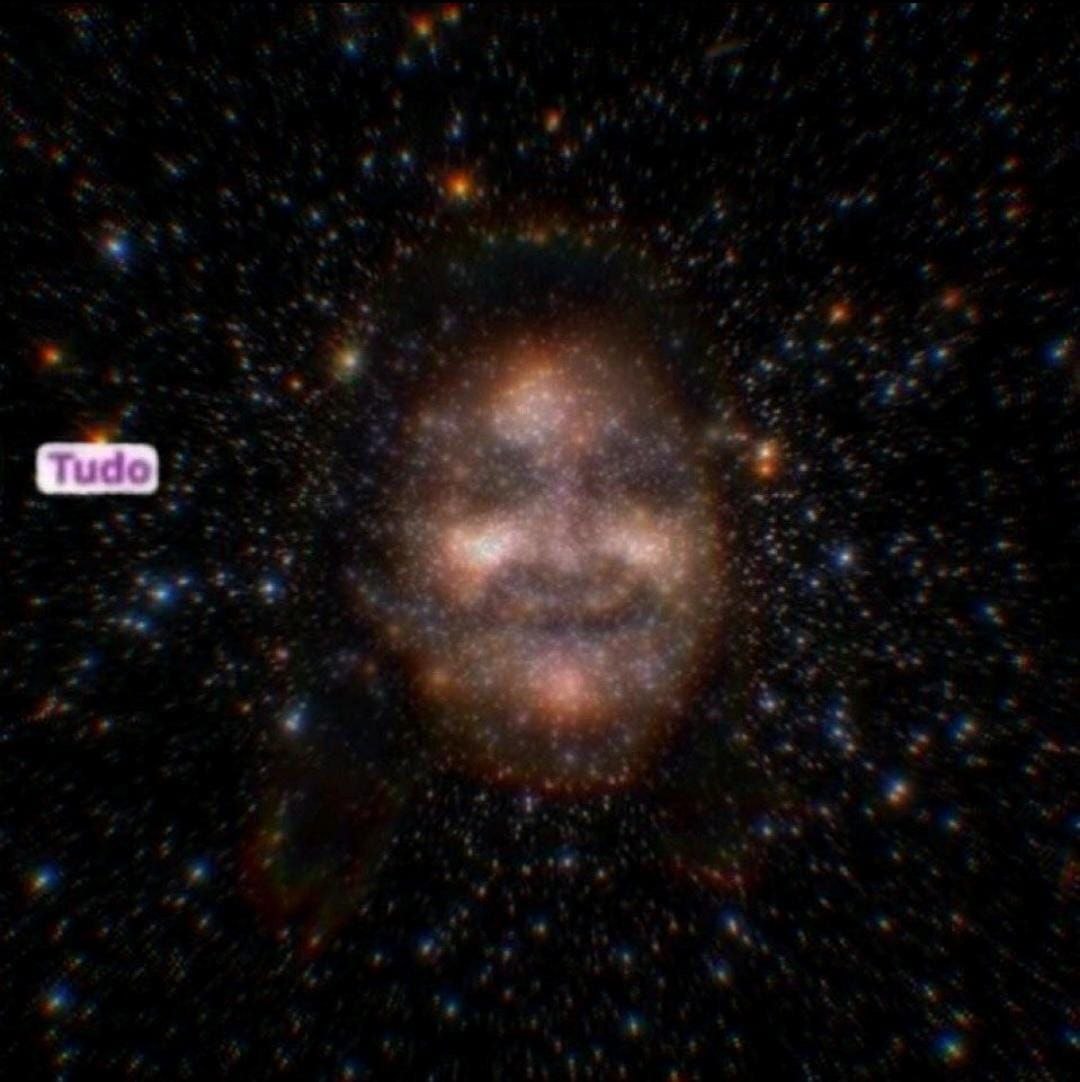 ✨️ Wolphi ✨️ tweet media