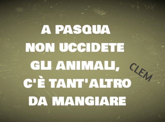 Clemente del Monaco tweet media