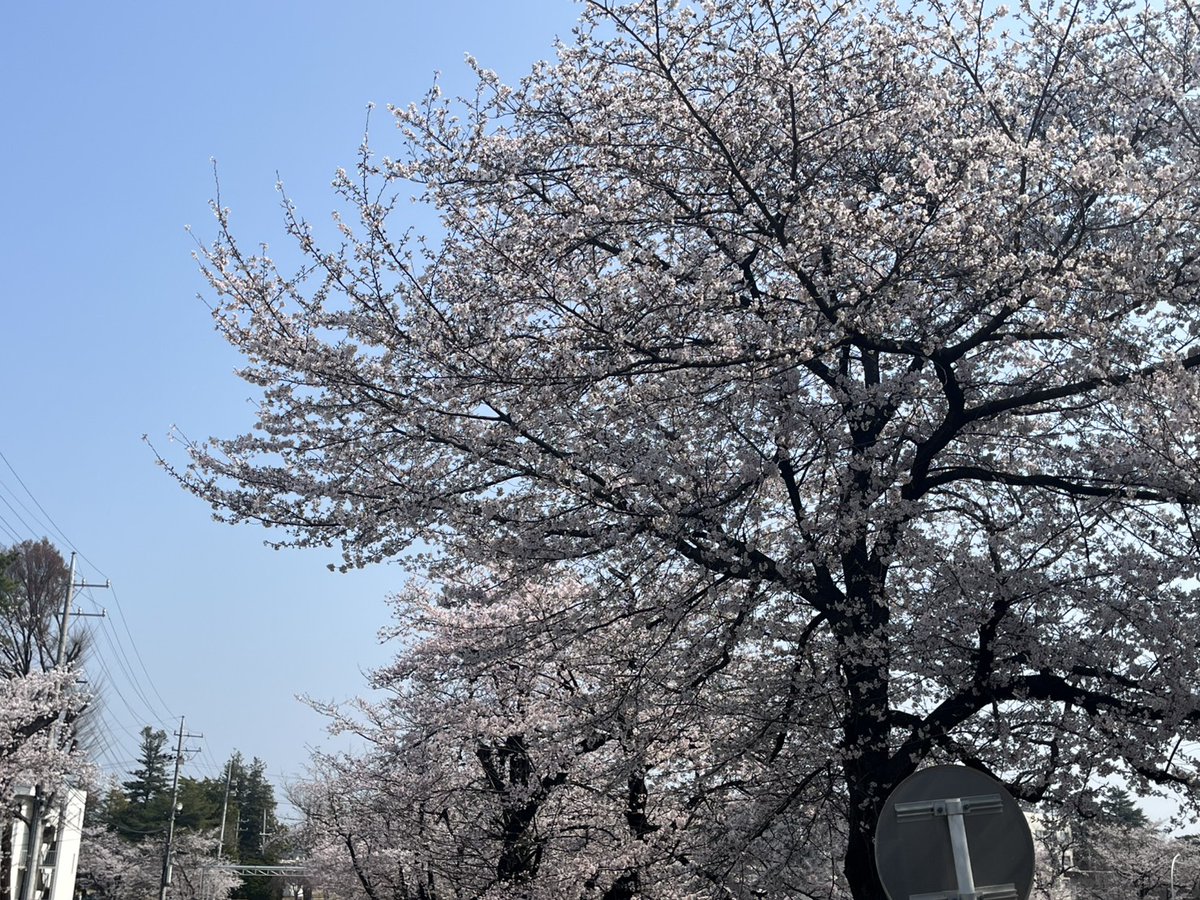 もいぷ tweet media