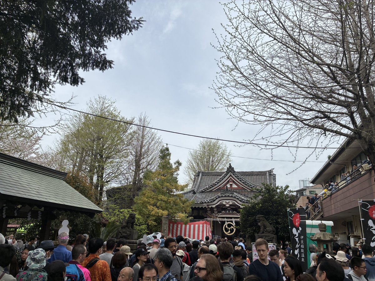 【公式】川崎純情小町☆ tweet media