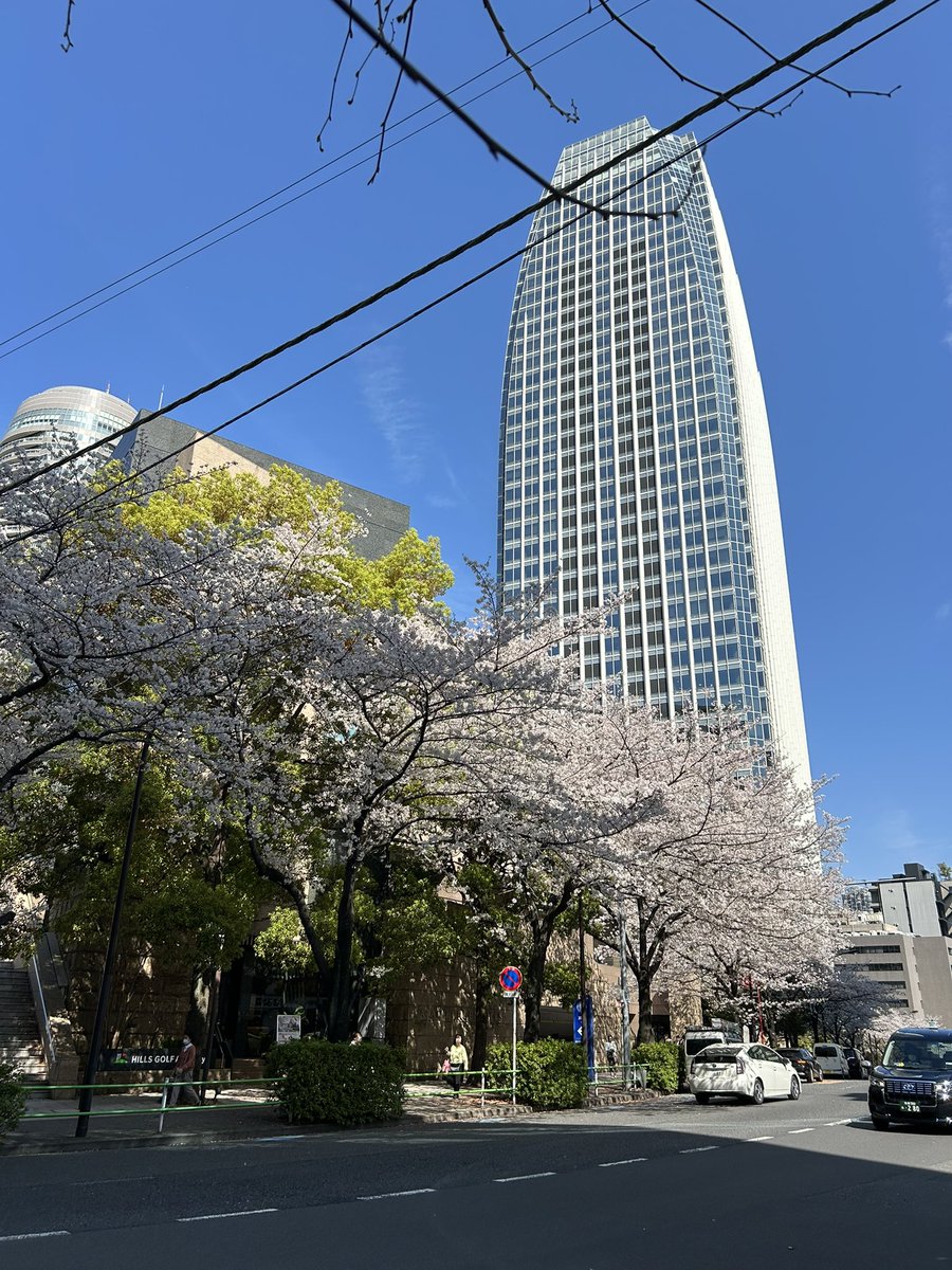 甘々太郎 tweet media