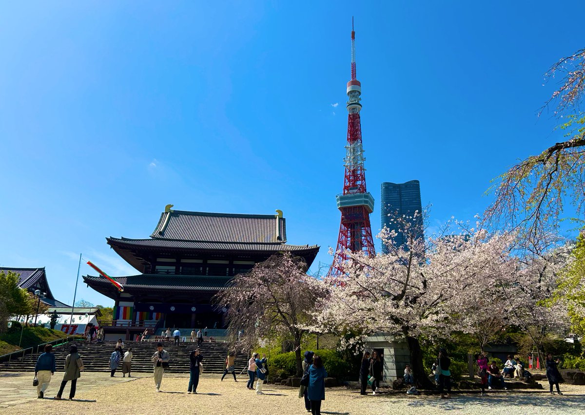 甘々太郎 tweet media