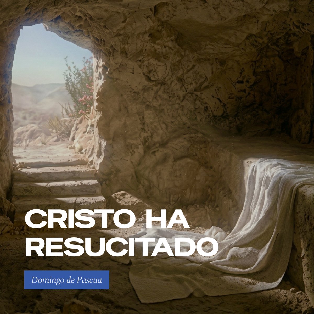 ¡CRISTO HA RESUCITADO!

El AMOR ha derrotado al odio
La VIDA ha vencido a la muerte
La LUZ ha desterrado las tinieblas. 

¡Feliz Pascua de Resurrección para todos! 

#SiALaVida siempre🩵