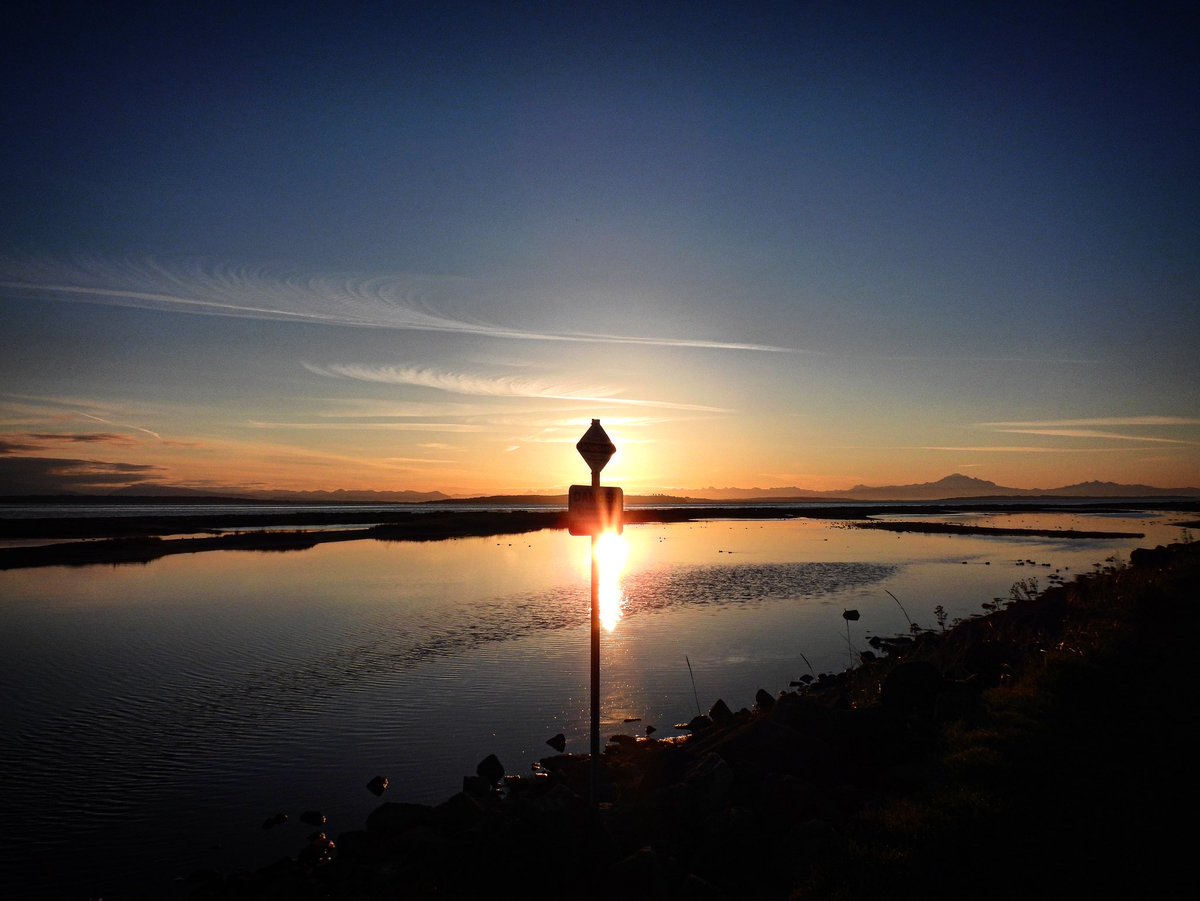 Pacificnorthwestkate🇨🇦 tweet media