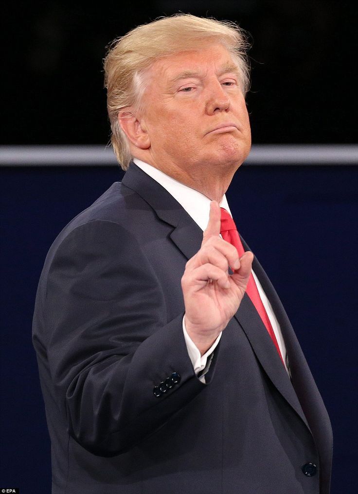 Elon musk X pages tweet media