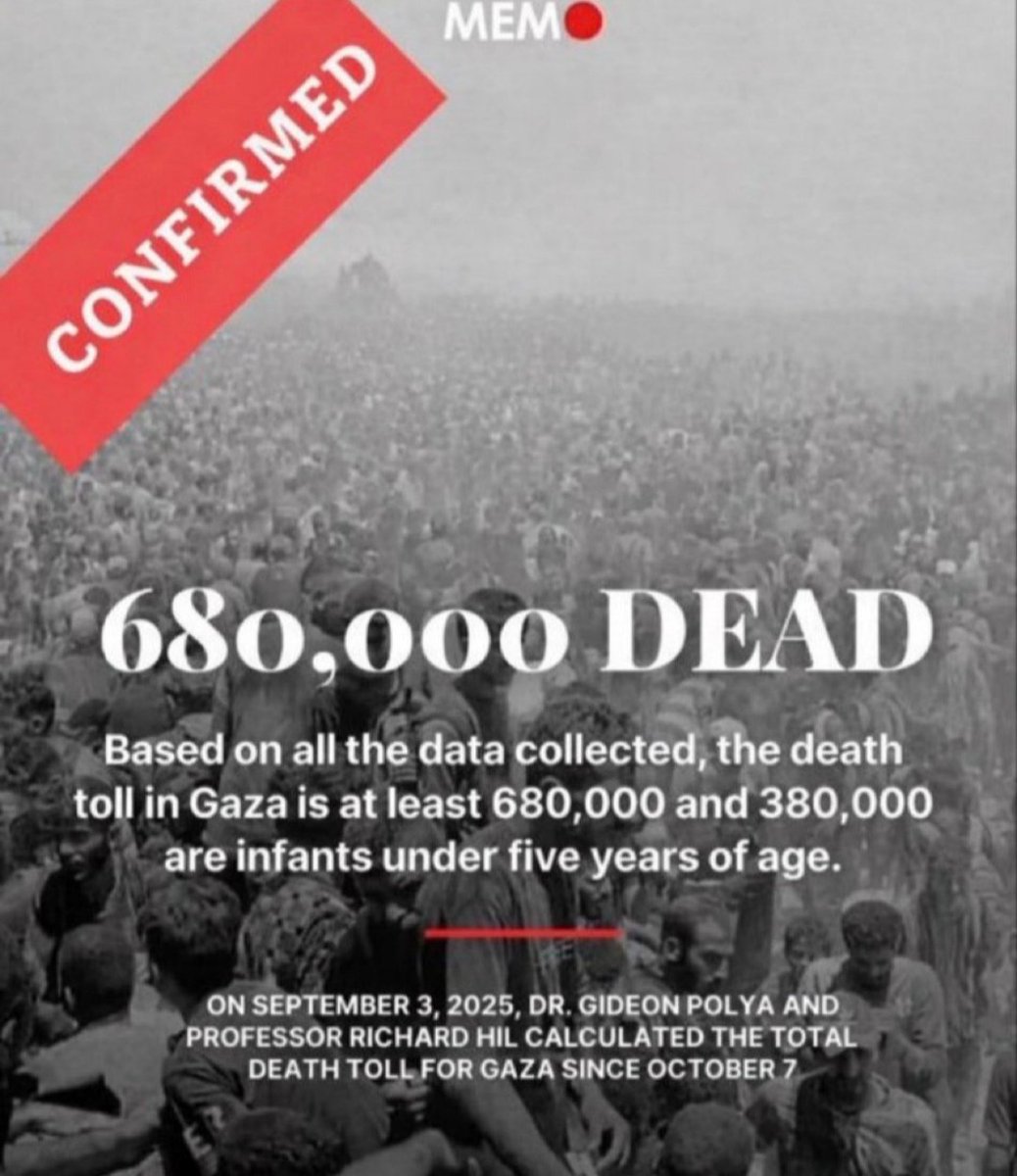 Targui🌴 tweet media