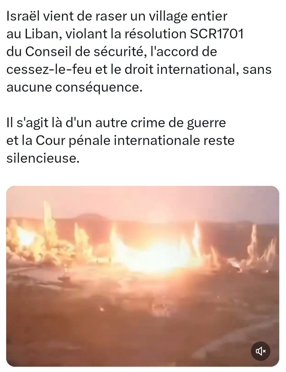 Targui🌴 tweet media