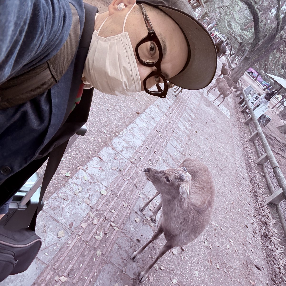 さきのすけ （落語家・フォトグラファー、桂咲之輔） tweet media